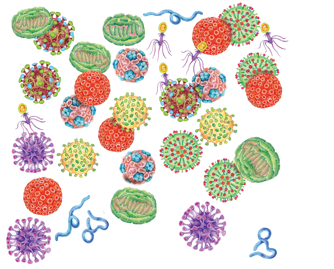 virus